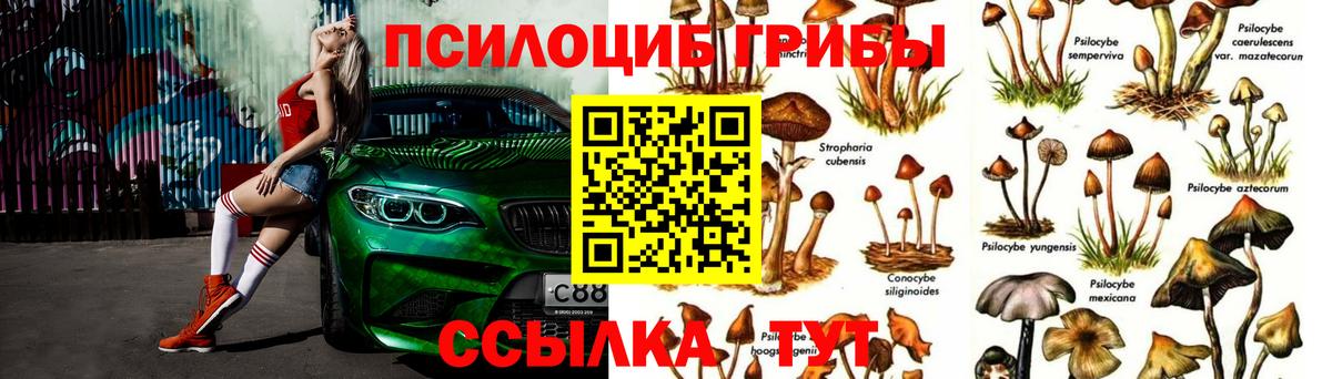 Богородск  Псилоцибиновые грибы ЛСД  Псилоцибиновые грибы GOLDEN TEACHER  Вход с VPN 