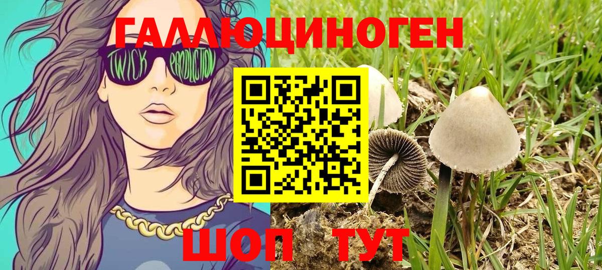 Галлюциногенные грибы MAGIC MUSHROOMS Богородск